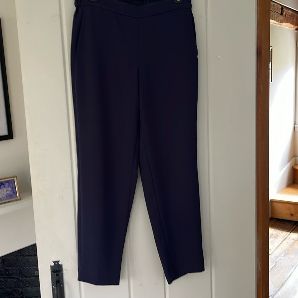 J Crew Navy dress pants